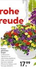 Zauberglöckchen-Ampel im aktuellen Hellweg Prospekt