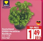 EDEKA Schulzendorf - Basilikum Angebot im Prospekt Basilikum bei EDEKA im Schulzendorf Prospekt für 1,49 €