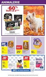 Promos Croquettes Chien dans le catalogue "HAHA HALLOWEEN" de Carrefour Croquettes Chien en promo dans le catalogue Carrefour à la page 59