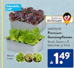 Premium-Gemüsepflanzen bei ALDI SÜD im Bodenheim Prospekt für 1,49 €