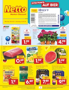 Bier im Netto Marken-Discount Prospekt "Aktuelle Angebote" mit 44 Seiten (Freiberg)