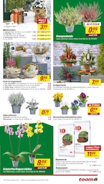 toom Baumarkt Grabgesteck im Prospekt toom Baumarkt Grabgesteck im Prospekt
