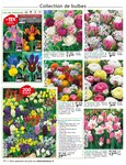 Abri De Jardin Abri De Jardin