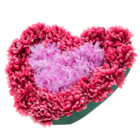 Coussin cœur roses 26 têtes - Gifi Coussin cœur roses 26 têtes à 6,90 € dans le catalogue Gifi