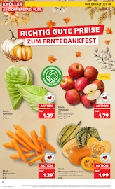 Aktueller Kaufland Prospekt mit Äpfel, "Sonderbeilage", Seite 4