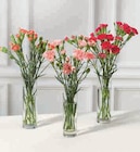 7 Mini Œillets dans le catalogue Super U