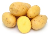 Bio Speisekartoffeln Angebote bei REWE Pulheim für 2,49 €