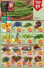 Pflanzen im REWE Prospekt in Darmstadt Aktueller REWE Prospekt mit Pflanzen, "Dein Markt", Seite 9