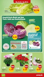 Weihnachten im Penny Prospekt in Bargteheide Aktueller Penny Prospekt mit Weihnachten, "Wer günstig will, muss Penny.", Seite 3