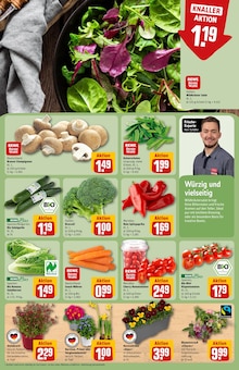 Pflanzen im REWE Prospekt "Dein Markt" mit 26 Seiten (Chemnitz)