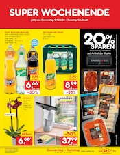Coca Cola im Netto Marken-Discount Prospekt in Lehrte Aktueller Netto Marken-Discount Prospekt mit Coca Cola, "Aktuelle Angebote", Seite 43