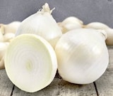 Steckzwiebeln bei Thomas Philipps im Sarstedt Prospekt für 1,99 €