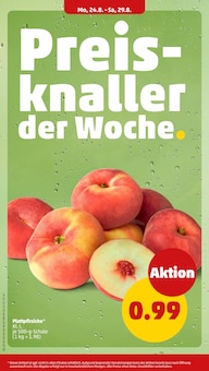 Obst im aktuellen Penny Prospekt (Berlin) Obst im Penny Prospekt "Wer günstig will, muss Penny." mit 40 Seiten (Berlin)