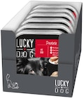 Schalenmenü Ragout oder Pastete Angebote von Lucky Dog bei Penny Düsseldorf für 3,40 €