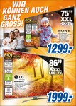 Flachbildfernseher Flachbildfernseher