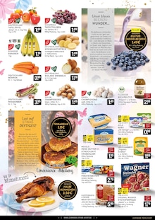 Kräuter im E center Prospekt "Aktuelle Angebote" mit 10 Seiten (Düsseldorf)