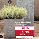 Knospenheide im aktuellen Dehner Garten-Center Prospekt für 1,99 €
