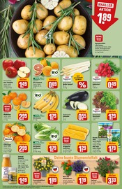 Ähnliche Angebote wie Granatapfel im Prospekt "Dein Markt" auf Seite 12 von REWE in Salzgitter