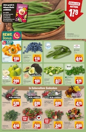 Staubsauger im REWE Prospekt in Germering Aktueller REWE Prospekt mit Staubsauger, "Dein Markt", Seite 9