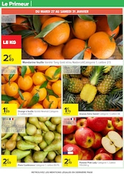 Promos Ananas dans le catalogue "ALCOOLS & BIÈRES" de Carrefour à la page 27 Promos Ananas dans le catalogue "ALCOOLS & BIÈRES" de Carrefour à la page 27