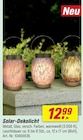 Solar-Dekolicht für 12,99 € bei toom Baumarkt im Angebot Solar-Dekolicht im aktuellen toom Baumarkt Prospekt