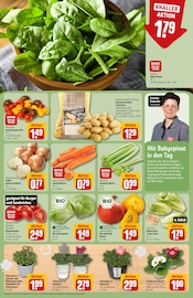Ähnliches Angebot bei REWE in Prospekt "Dein Markt" gefunden auf Seite 7
