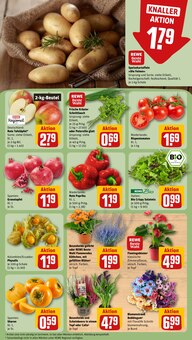 Pflanzen im REWE Prospekt "Dein Markt" mit 26 Seiten (Kiel)