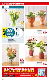 Plante Verte Angebote im Prospekt "Super U" von Super U Plante Verte Angebote im Prospekt "Super U" von Super U auf Seite 30