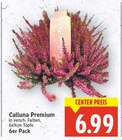 Calluna Premium im aktuellen E center Prospekt