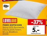 FEDER-KOPFKISSEN von LevelOne im aktuellen Sconto SB Prospekt