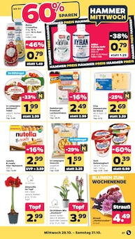 Blumen im Netto mit dem Scottie Prospekt "Günstig. Besser. Für Dich." mit 39 Seiten (Cottbus)