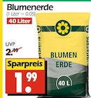 Angebot im Wreesmann Kospoda Prospekt Wreesmann Kospoda Prospekt mit im Angebot für 1,99 €
