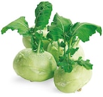 Kohlrabi von  im aktuellen REWE Prospekt für 0,55 €