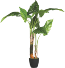 Carré végétal izy tropical ou jungle 50x50cm en promo chez Maxi Bazar Palaiseau à 9,99 €
