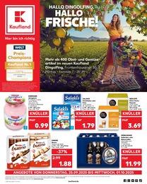 Kaufland Prospekt für Mallersdorf-Pfaffenberg mit 64 Seiten