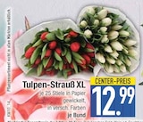 Tulpen-Strauß XL  im aktuellen EDEKA Prospekt für 12,99 €