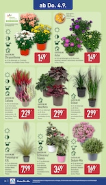 Garden Feelings Angebote im Prospekt "Aktuelle Angebote" von ALDI Nord Garden Feelings Angebote im Prospekt "Aktuelle Angebote" von ALDI Nord auf Seite 26