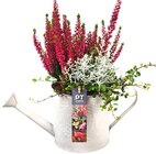 Zinkgießkanne für 9,99 € bei REWE im Angebot Zinkgießkanne im aktuellen REWE Prospekt