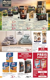 Dehner Garten-Center Hundefutter im Prospekt 