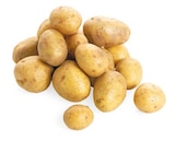 Bio Speisekartoffeln Angebote von REWE Bio bei REWE Dresden für 1,39 €