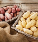 Pomme de terre de consommation à chair ferme - INTERMARCHÉ TERROIRS en promo chez Intermarché Hyper Poitiers à 2,29 €
