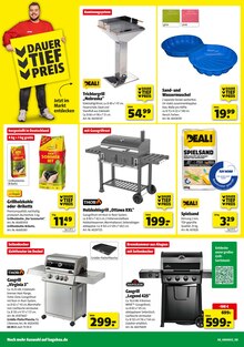 Grillkohle im Hagebaumarkt Prospekt "So günstig geht das!" mit 20 Seiten (Osnabrück)