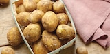 Intermarché Contact Châtillon-sur-Marne - Promo Pomme de Terre Primeur de Noirmoutier IGP Promo Pomme de Terre Primeur de Noirmoutier IGP à 2,49 € dans le catalogue Intermarché Contact à Châtillon-sur-Marne