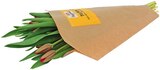 Tulpen Angebot in Ennepetal Tulpen im aktuellen Prospekt bei REWE in Ennepetal