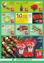 Aktueller Marktkauf Prospekt mit Tomaten, "AUSWAHL RIESIG, PREISE NIEDRIG", Seite 9