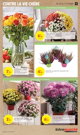 Chrysanthèmes Angebote im Prospekt "-50% DE REMISE IMMÉDIATE SUR LE 2ÈME" von Intermarché auf Seite 15