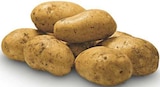Speisekartoffeln im Angebot bei combi in Paderborn Speisekartoffeln Angebote bei combi Paderborn für 1,11 €