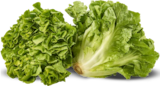 Endivien-Salat bei Denns BioMarkt im Prospekt "" für 2,29 €