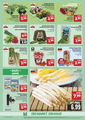 Pflanzen im Marktkauf Prospekt in Schweinfurt Aktueller Marktkauf Prospekt mit Pflanzen, "GANZ GROSS in kleinsten Preisen!", Seite 9