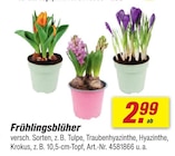 Angebot im toom Baumarkt Maxhütte-Haidhof Prospekt toom Baumarkt Maxhütte-Haidhof Prospekt mit im Angebot für 2,99 €